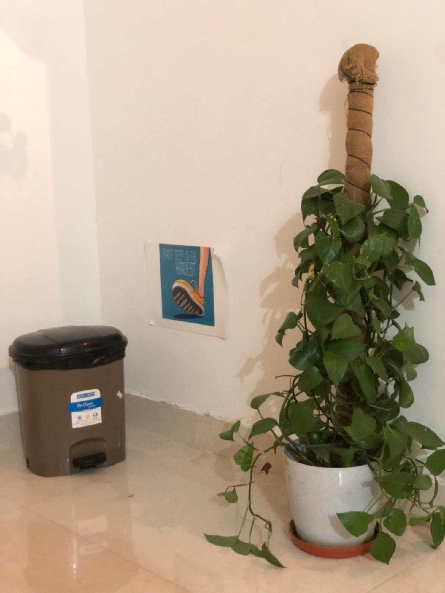 Apartmán Sapthagiri Nest Chikmagalūr Exteriér fotografie